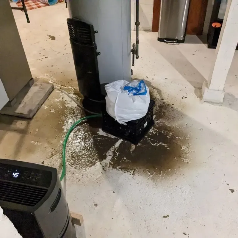 Sewage Backup Cleanup Service in Posey County, IN